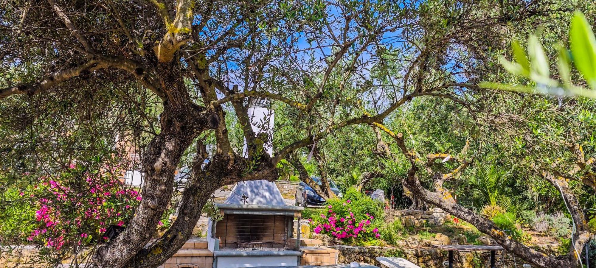 Forestata Village Kouvalata Εξωτερικό φωτογραφία